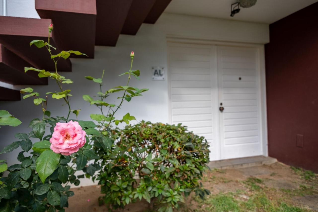 Snooker House Apartment ปอนตาเดลกาดา ภายนอก รูปภาพ